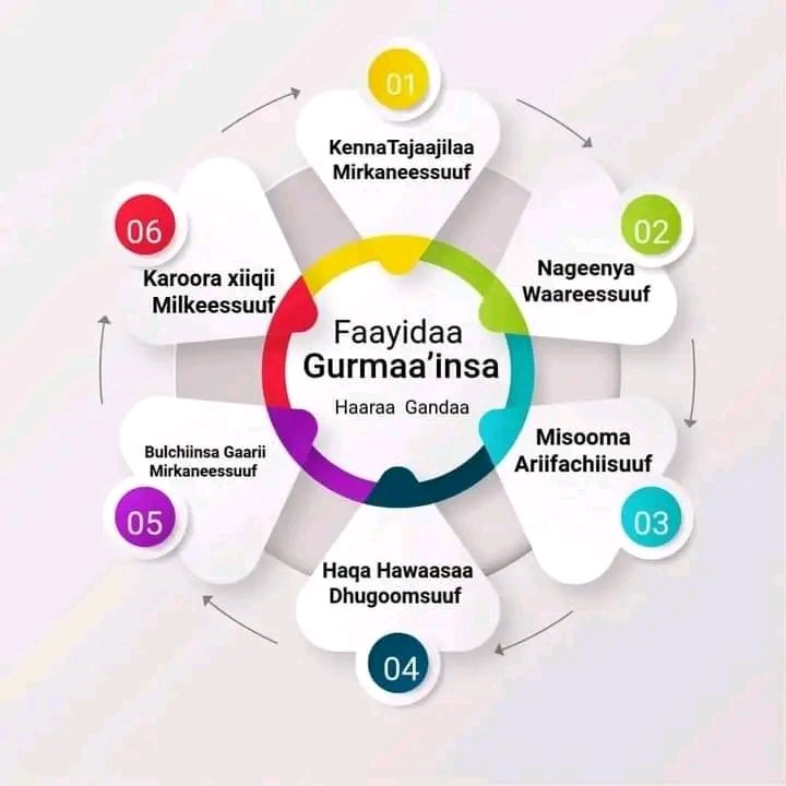 31396191728158305761.jpg