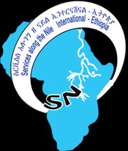 Service Along The Nile International