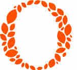 Olij Breeding/Dummen Orange Ethiopia