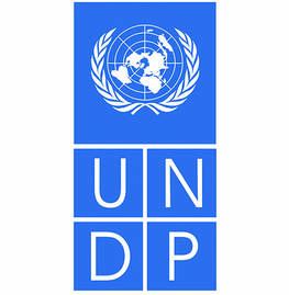 United Nations Development Programme (UNDP)