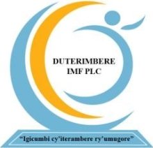 DUTERIMBERE IMF PLC